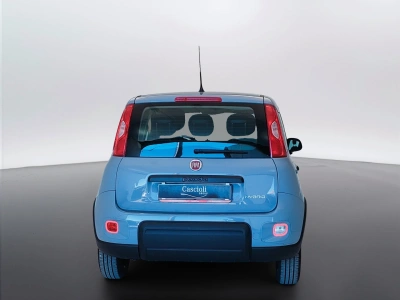 6 - Fiat Panda Cascioli Group