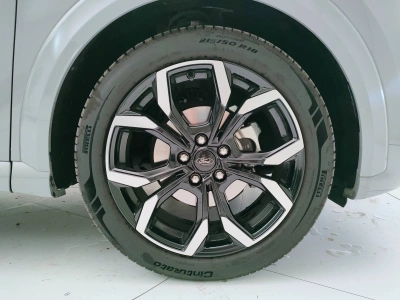 8 - Ford Puma Cascioli Group