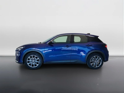 8 - Lexus LBX Cascioli Group