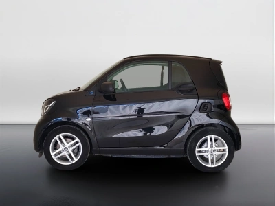 3 - smart fortwo Cascioli Group