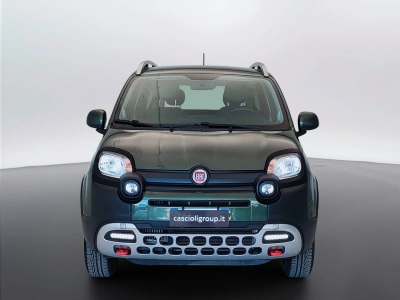 2 - Fiat Panda Cascioli Group