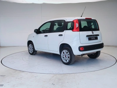 5 - Fiat Panda Cascioli Group