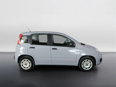 3 - Fiat Panda Cascioli Group