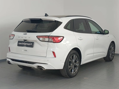 4 - Ford Kuga Cascioli Group