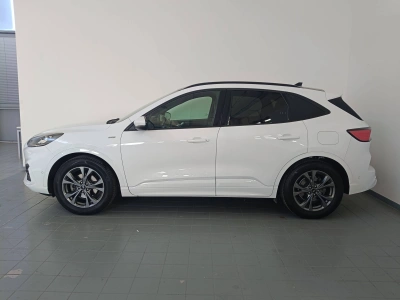 6 - Ford Kuga Cascioli Group