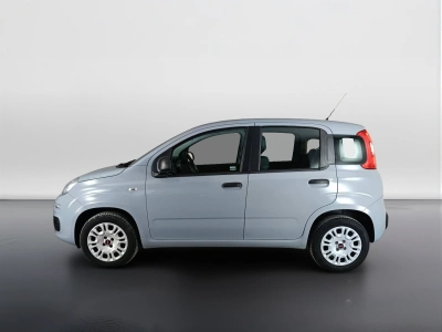 6 - Fiat Panda Cascioli Group