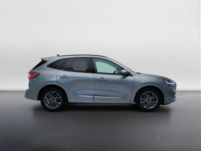7 - Ford Kuga Cascioli Group