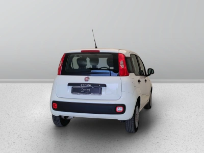5 - Fiat Panda III Van 2016 Cascioli Group