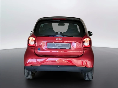 4 - smart fortwo Cascioli Group
