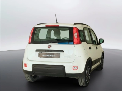 5 - Fiat Panda Cascioli Group