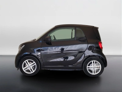 3 - smart fortwo Cascioli Group