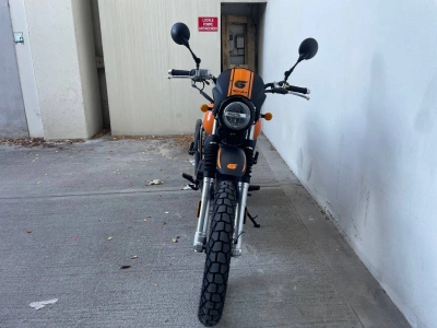 2 - Swm E3184 Cascioli Group