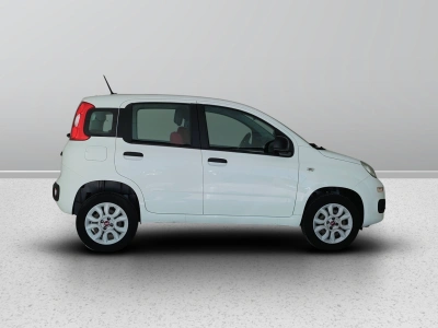 7 - Fiat Panda Cascioli Group