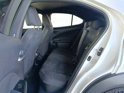 9 - Lexus UX 2019 Cascioli Group