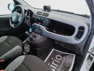 10 - Fiat Panda Cascioli Group