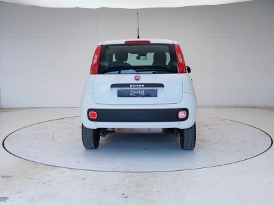 6 - Fiat Panda Cascioli Group