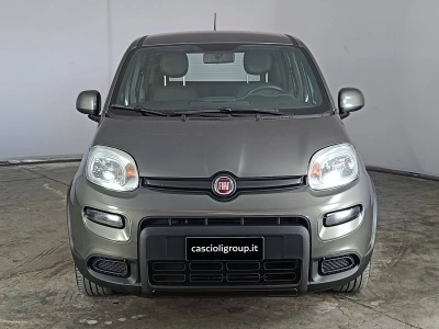 2 - Fiat Panda III 2021 Cascioli Group