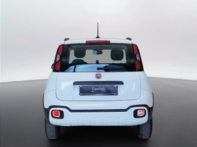 6 - Fiat Panda Cascioli Group
