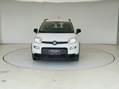 2 - Fiat Panda III 2021 Cascioli Group