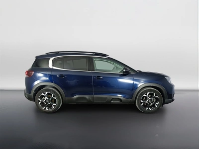 3 - Citroen C5 Cascioli Group