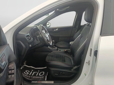 8 - Ford Kuga Cascioli Group