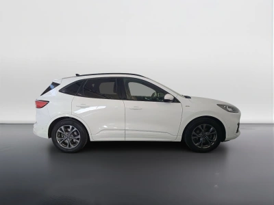 3 - Ford Kuga Cascioli Group