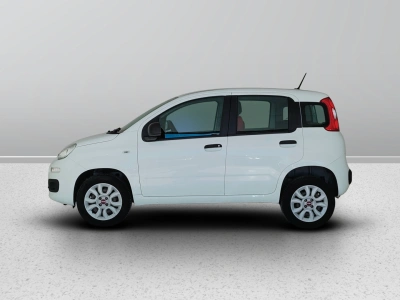 3 - Fiat Panda Cascioli Group