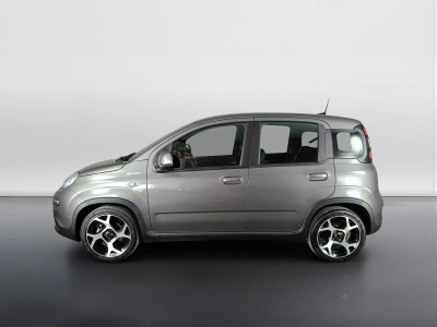 6 - Fiat Panda Cascioli Group
