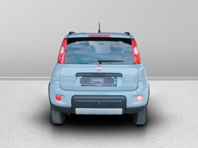 4 - Fiat Panda Cascioli Group