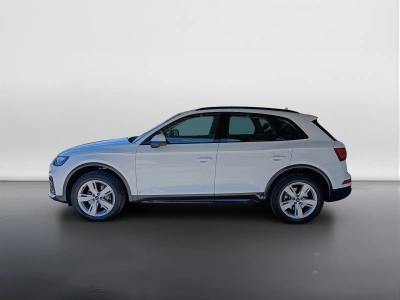 3 - Audi Q5 Cascioli Group