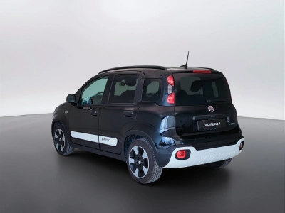 7 - Fiat Panda Cascioli Group