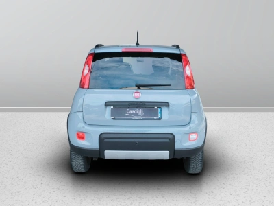 4 - Fiat Panda Cascioli Group