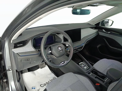 7 - Skoda Octavia Cascioli Group