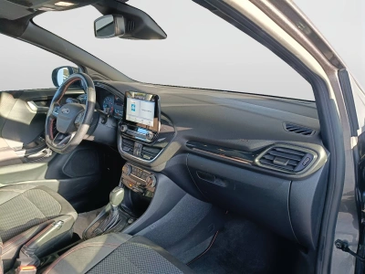 10 - Ford Puma Cascioli Group