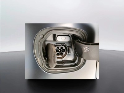 10 - smart fortwo Cascioli Group