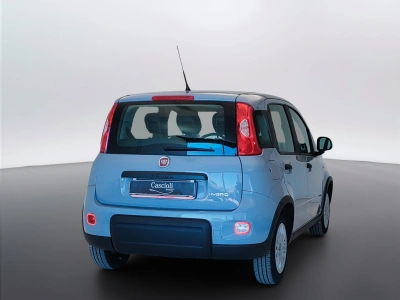 5 - Fiat Panda Cascioli Group