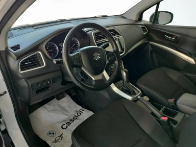 10 - Suzuki S Cascioli Group