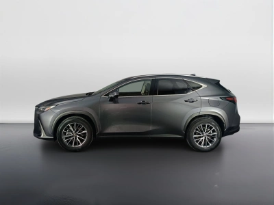 6 - Lexus NX Cascioli Group