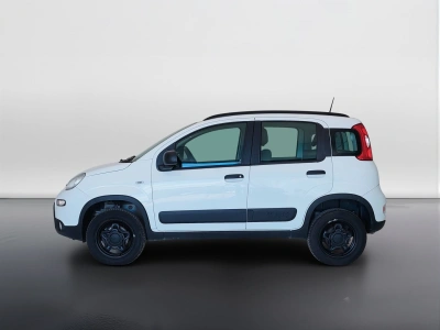 8 - Fiat Panda Cascioli Group