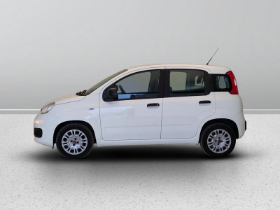 3 - Fiat Panda III Van 2016 Cascioli Group