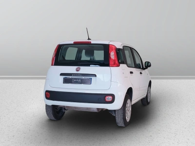 6 - Fiat Panda Cascioli Group