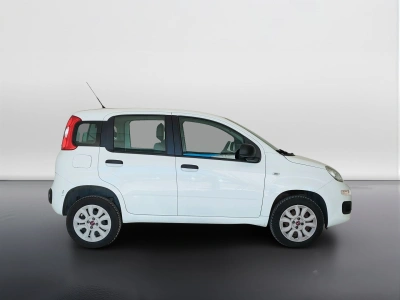 4 - Fiat Panda Cascioli Group
