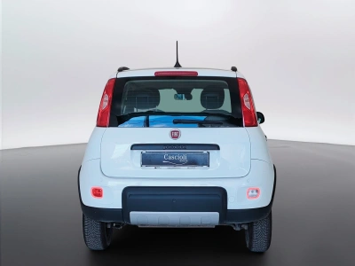 6 - Fiat Panda Cascioli Group