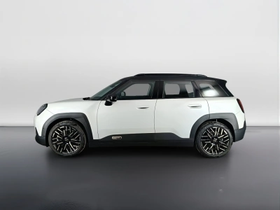 6 - MINI Aceman Cascioli Group