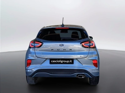 5 - Ford Puma Cascioli Group