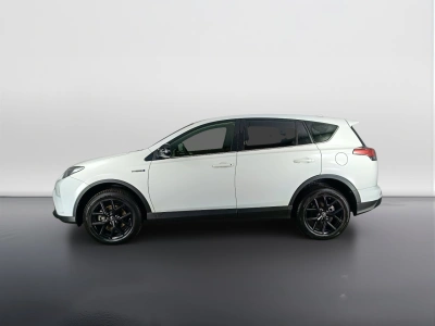 6 - Toyota RAV4 Cascioli Group