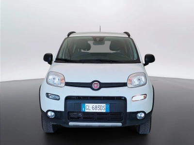 2 - Fiat Panda Cascioli Group