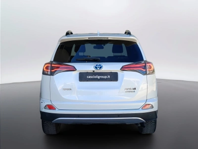 4 - Toyota RAV4 Cascioli Group