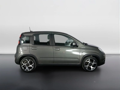 3 - Fiat Panda Cascioli Group