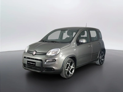 1 - Fiat Panda Cascioli Group